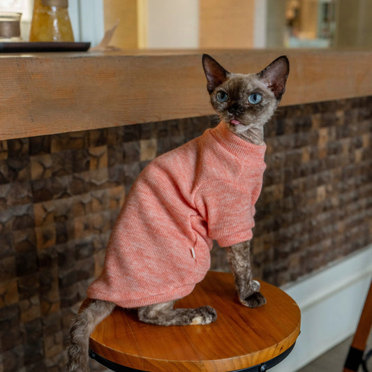 Colorful Thermal Cat Sweatshirt