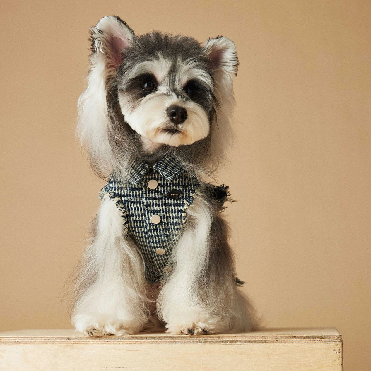 Chemise/gilet pour chien