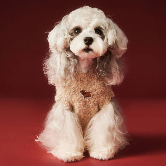 Cozy Knitted Dog Sweater Vest