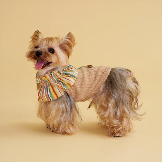 Autumn-Winter Small Pet Sweater