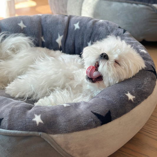 Rundes Winter-Haustierbett