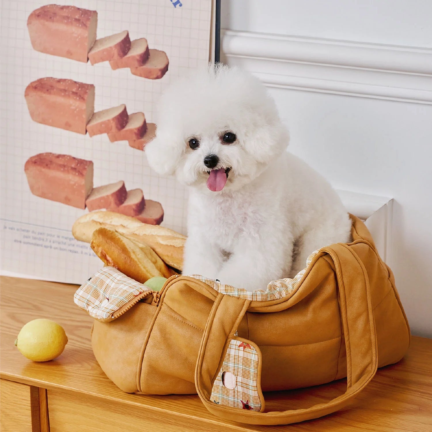Dog Carriers & Travel Bags