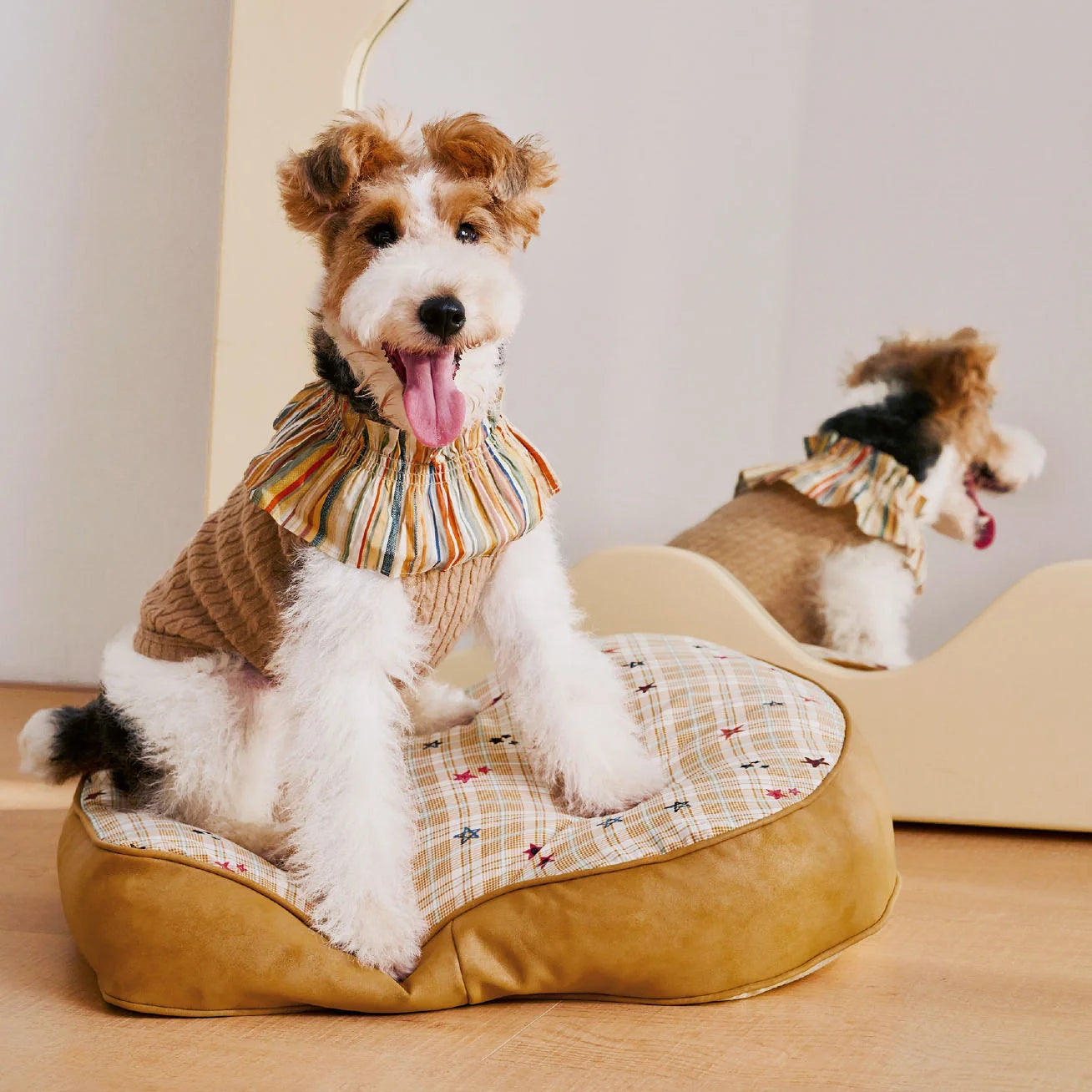 Dog Clothing & Apparel