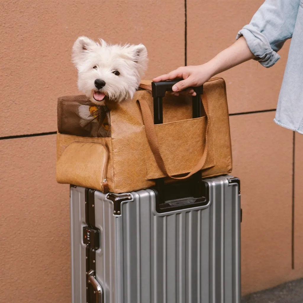 Dog Travel Accessories