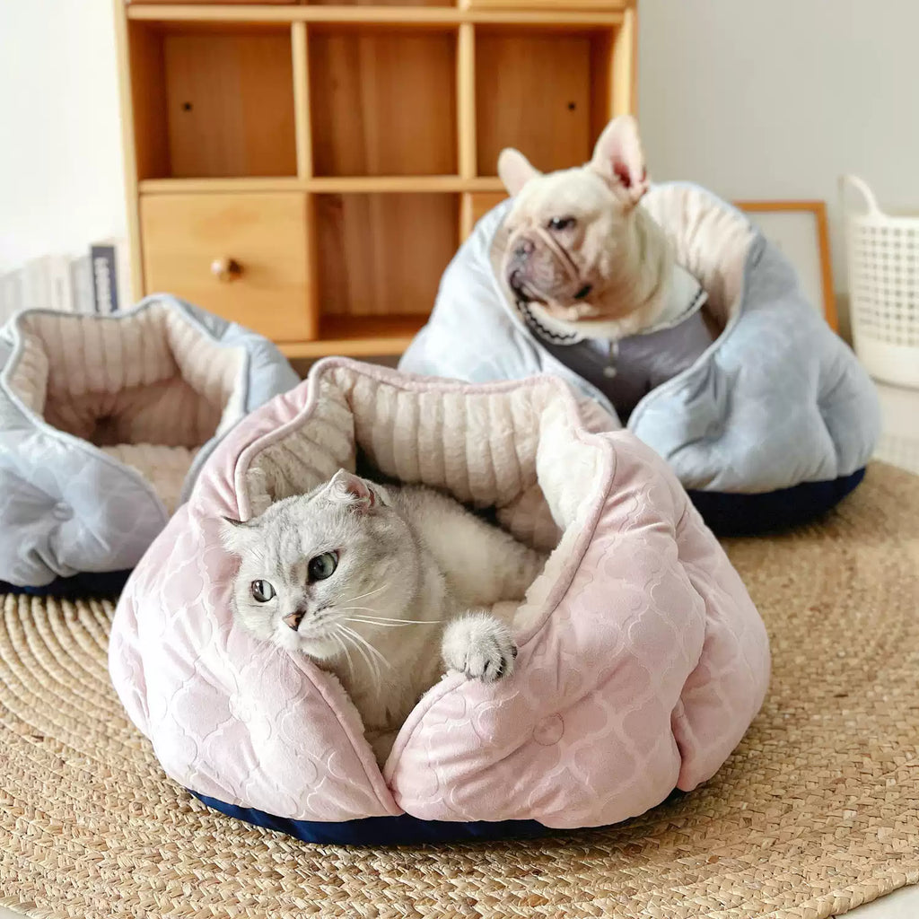 Volcano-Style Pet Bed