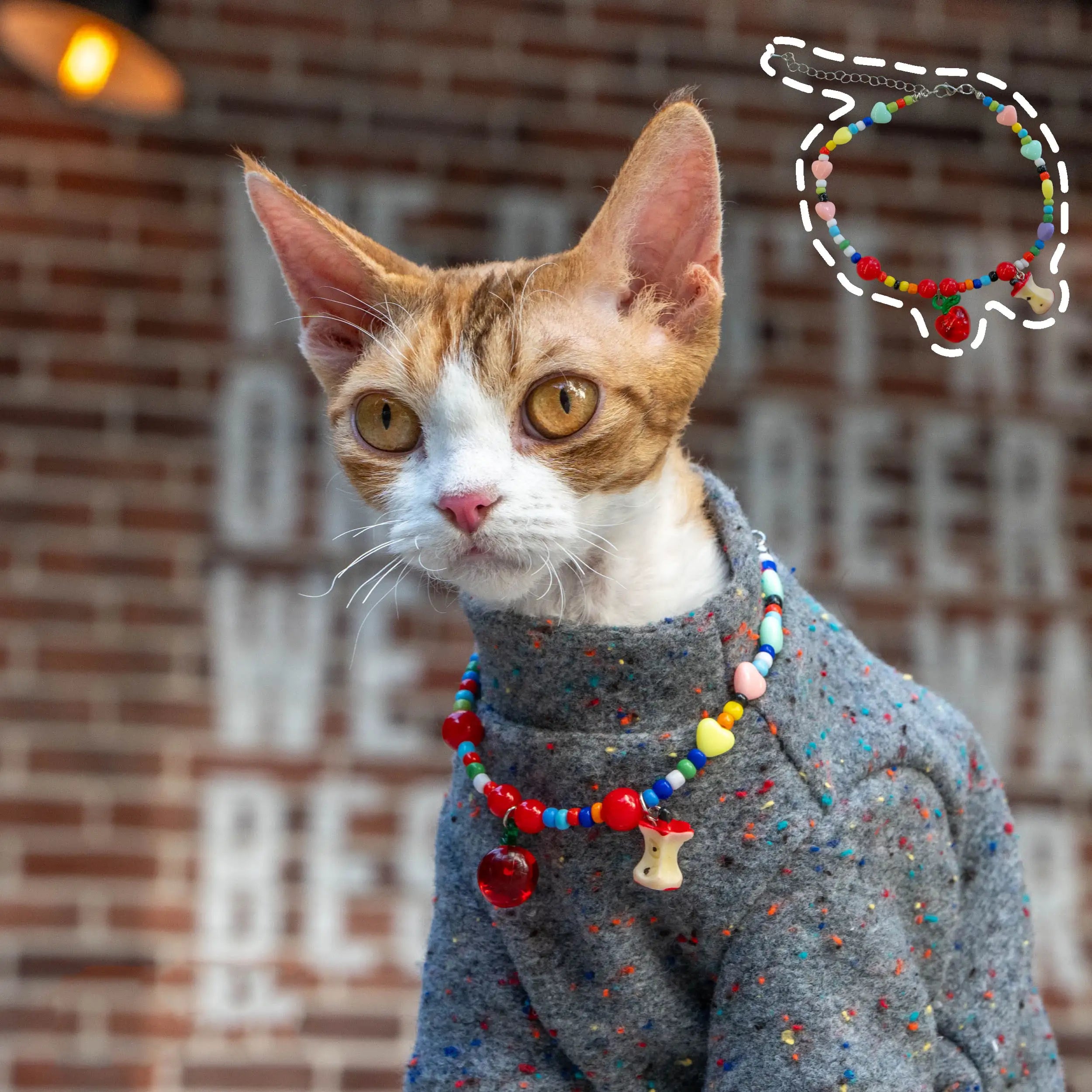 Adjustable Hairless Cat Necklace for Devon Rex