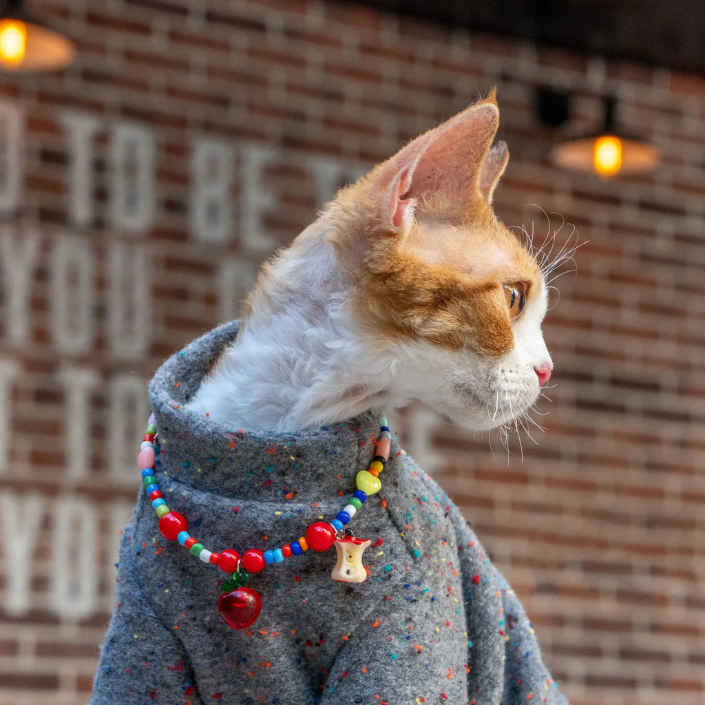 Adjustable Hairless Cat Necklace for Devon Rex