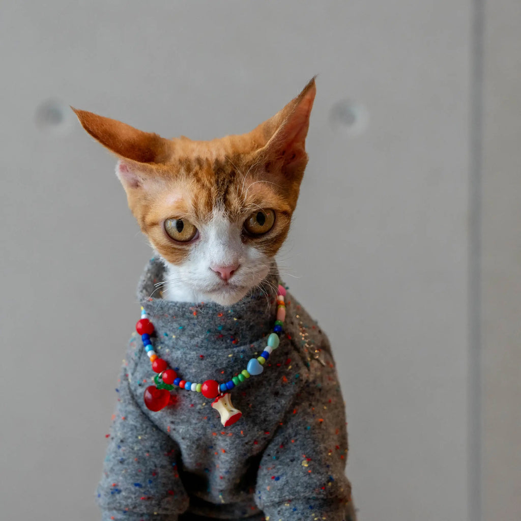 Adjustable Hairless Cat Necklace for Devon Rex