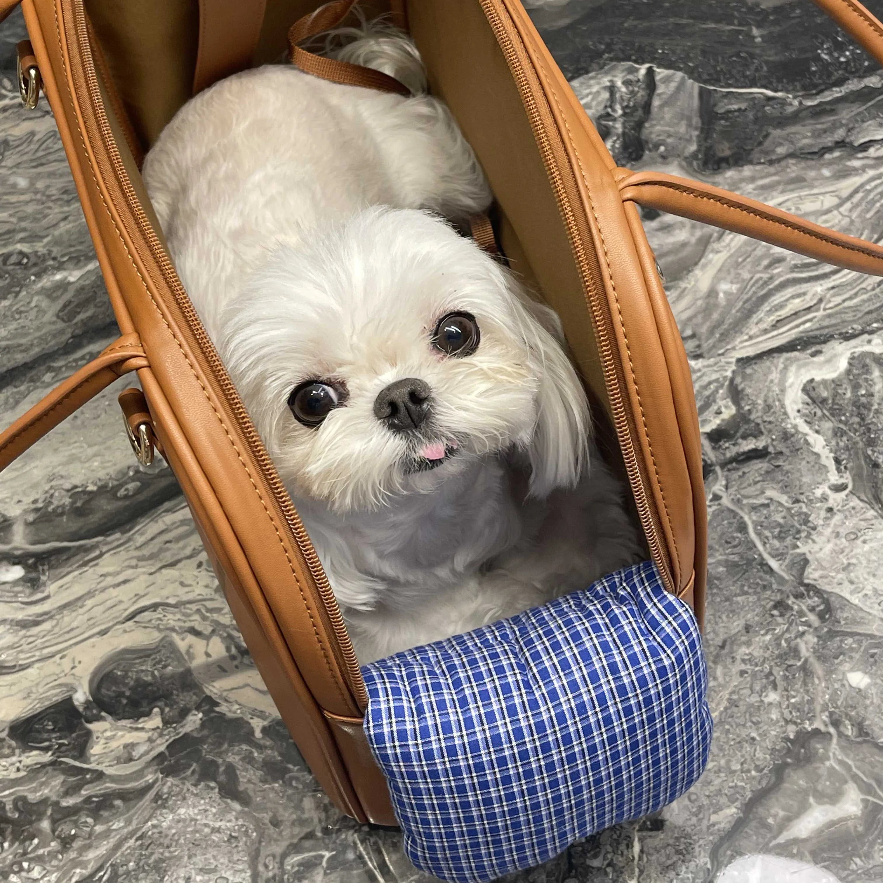 Autumn & Winter Pet Carrier Bag