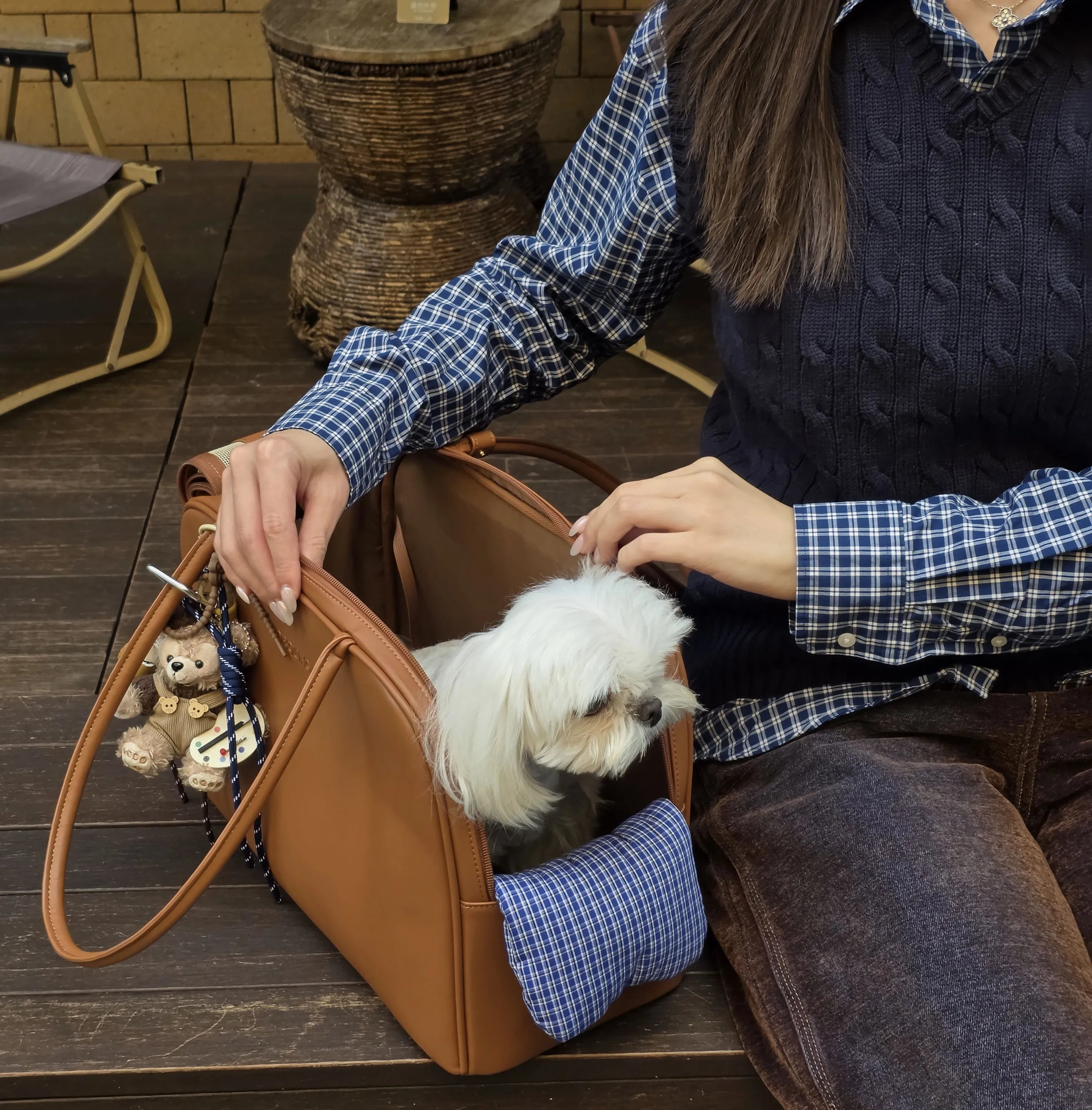 Autumn & Winter Pet Carrier Bag