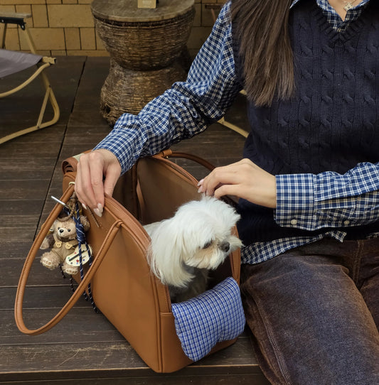 Autumn & Winter Pet Carrier Bag