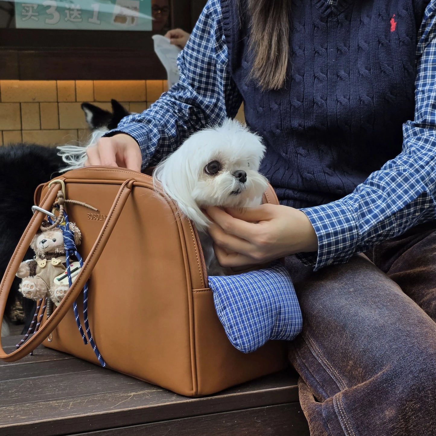 Autumn & Winter Pet Carrier Bag