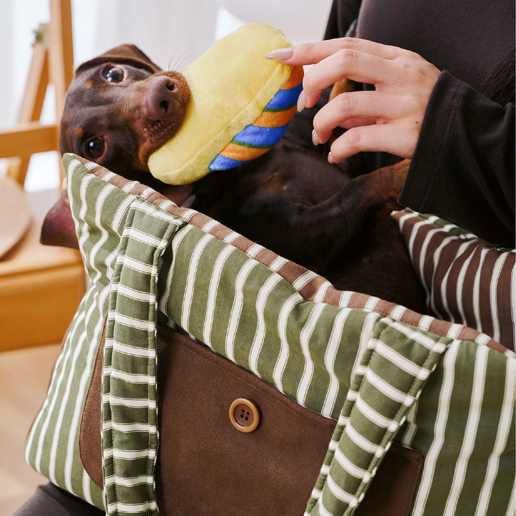 Sac de transport pour animaux vert avocat