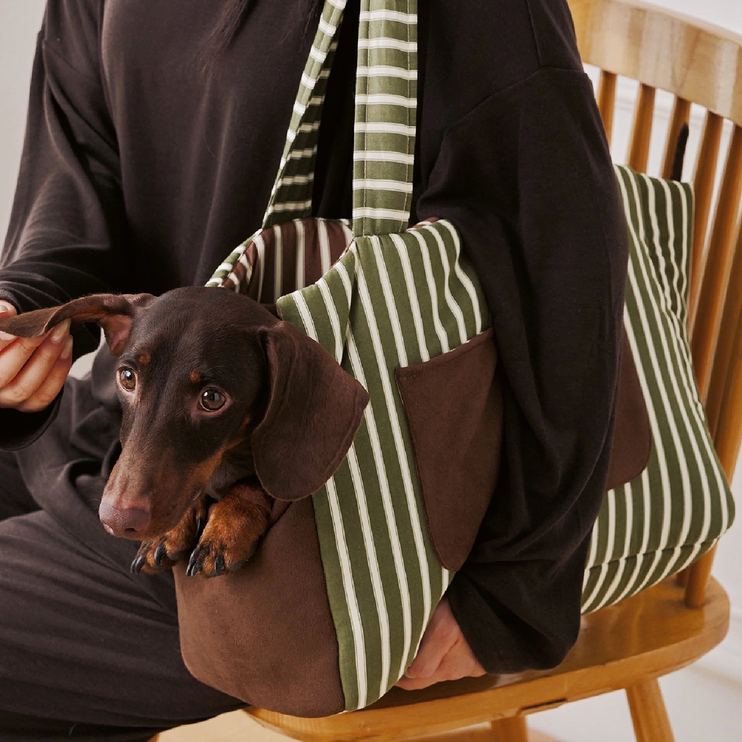 Avocado Green Pet Carrier