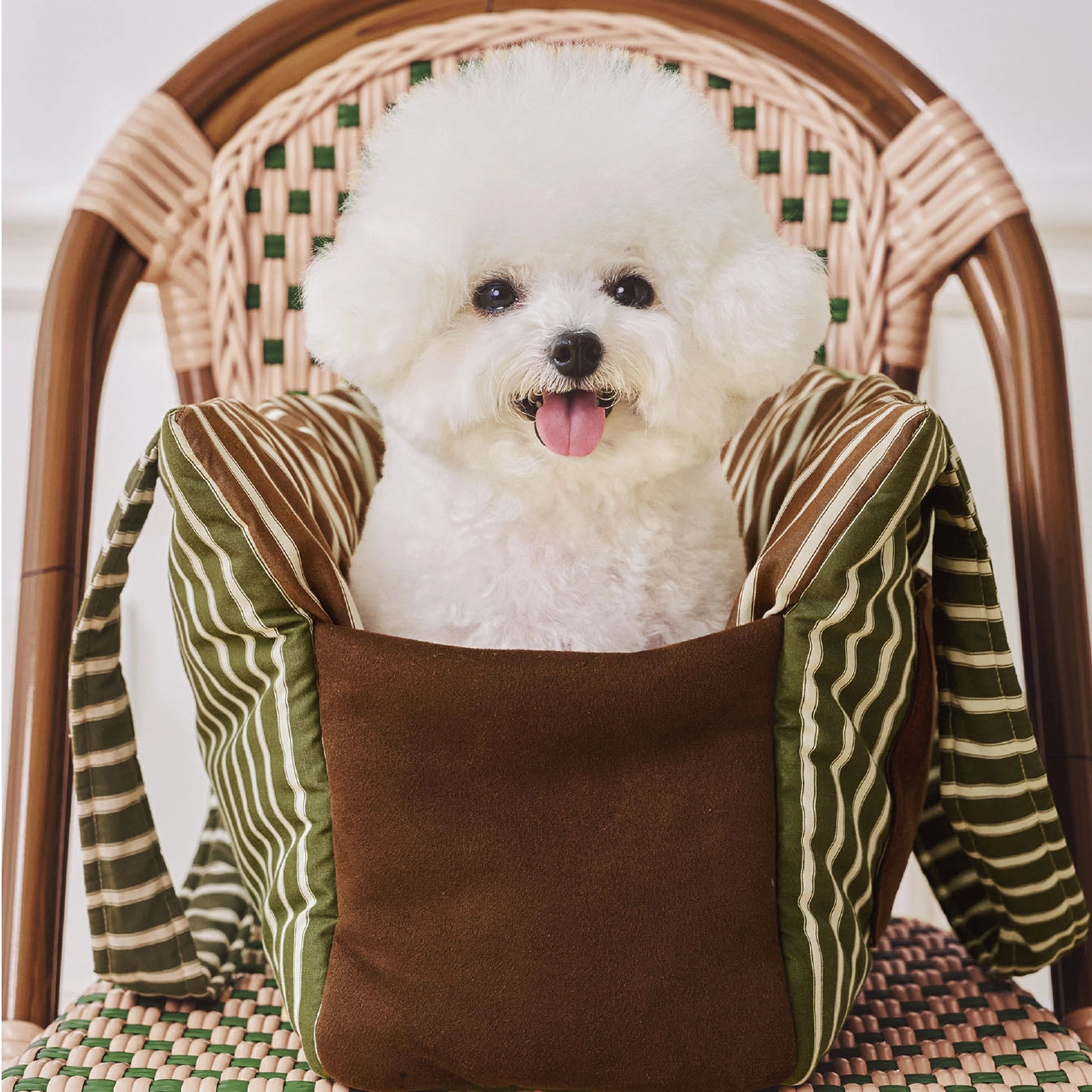 Avocado Green Pet Carrier