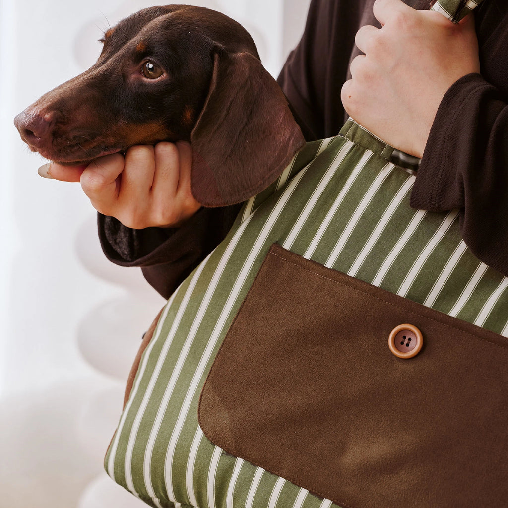 Sac de transport pour animaux vert avocat