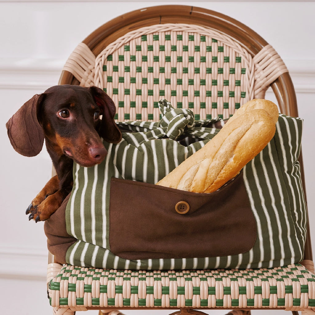 Sac de transport pour animaux vert avocat