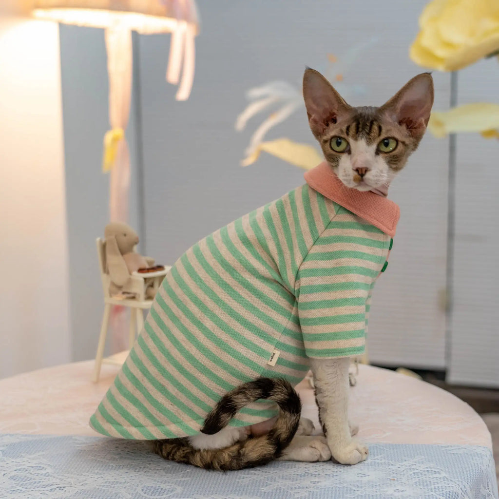 Candy Stripe Polo Sweatshirt