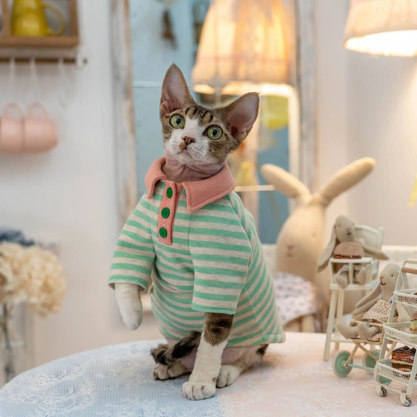 Polo-Sweatshirt mit Zuckerstreifen