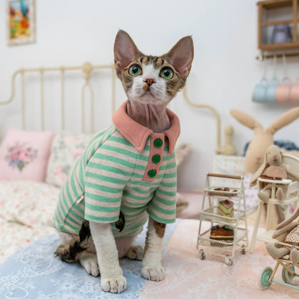 Candy Stripe Polo Sweatshirt