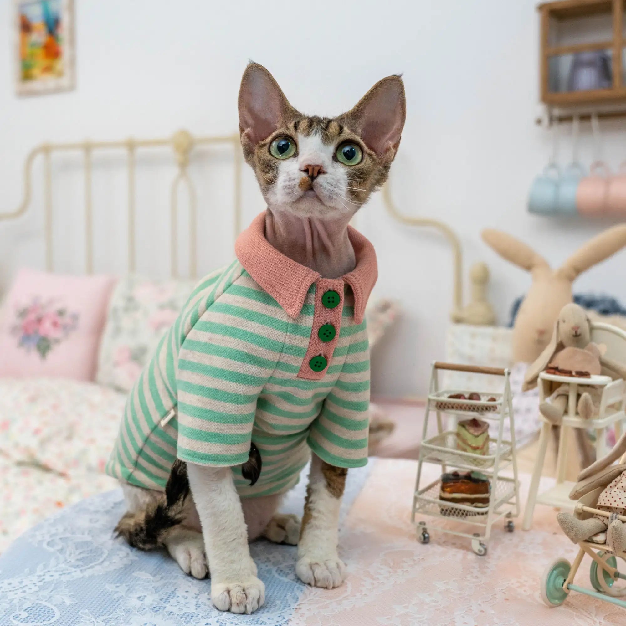 Candy Stripe Polo Sweatshirt