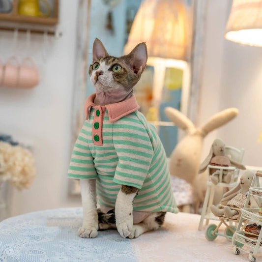 Candy Stripe Polo Sweatshirt