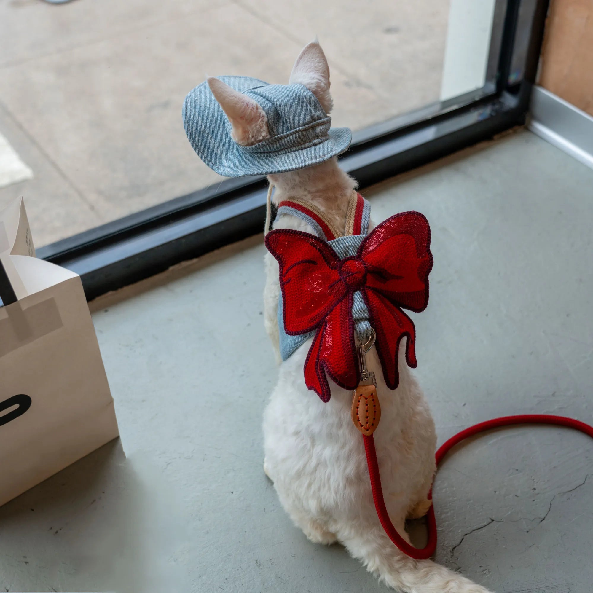Cute Bow Denim Cat Harness with Leash