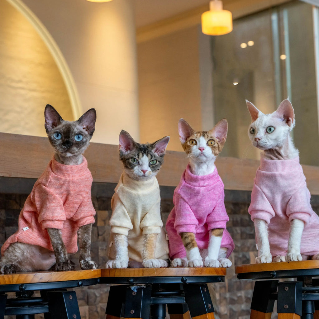 Colorful Thermal Cat Sweatshirt