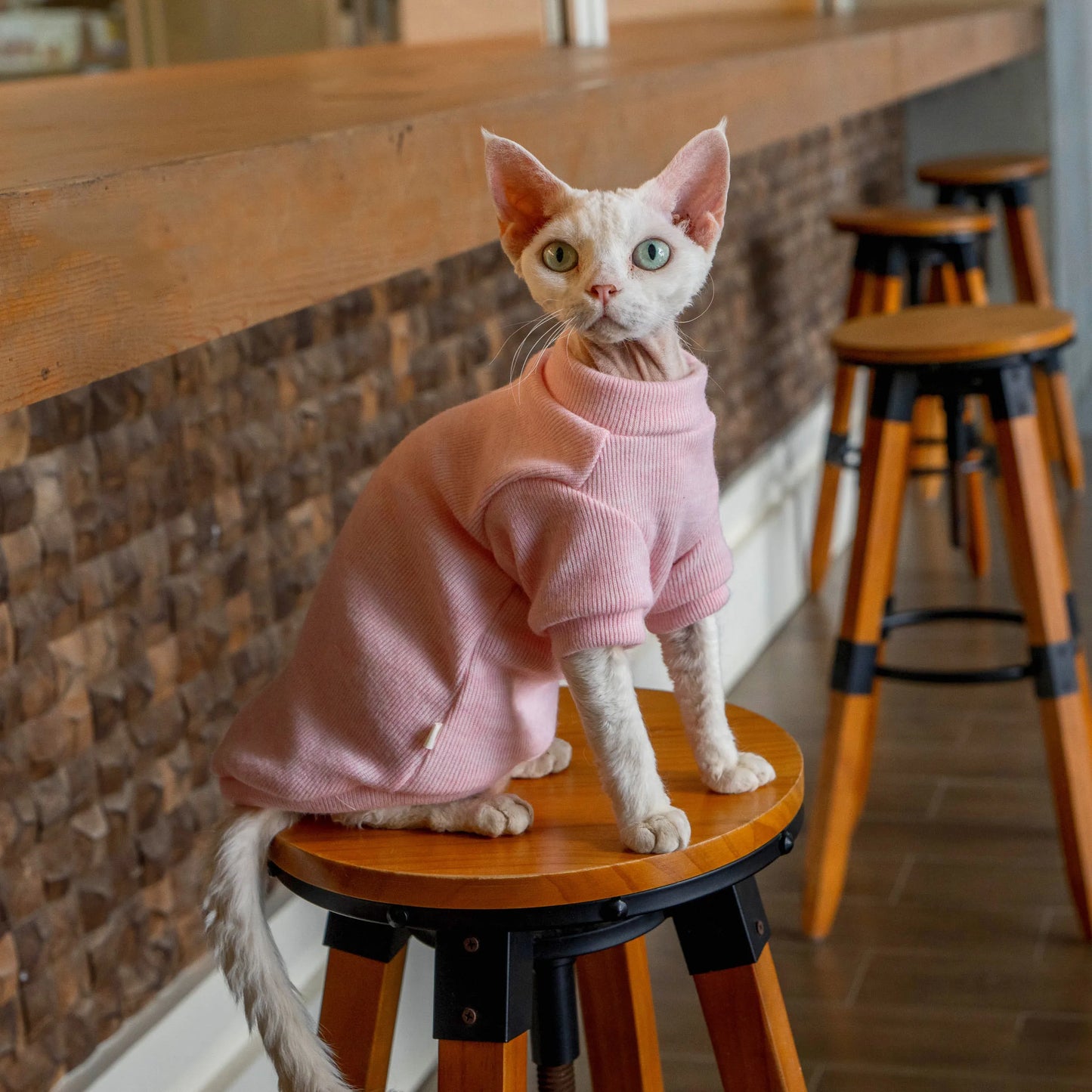 Colorful Thermal Cat Sweatshirt