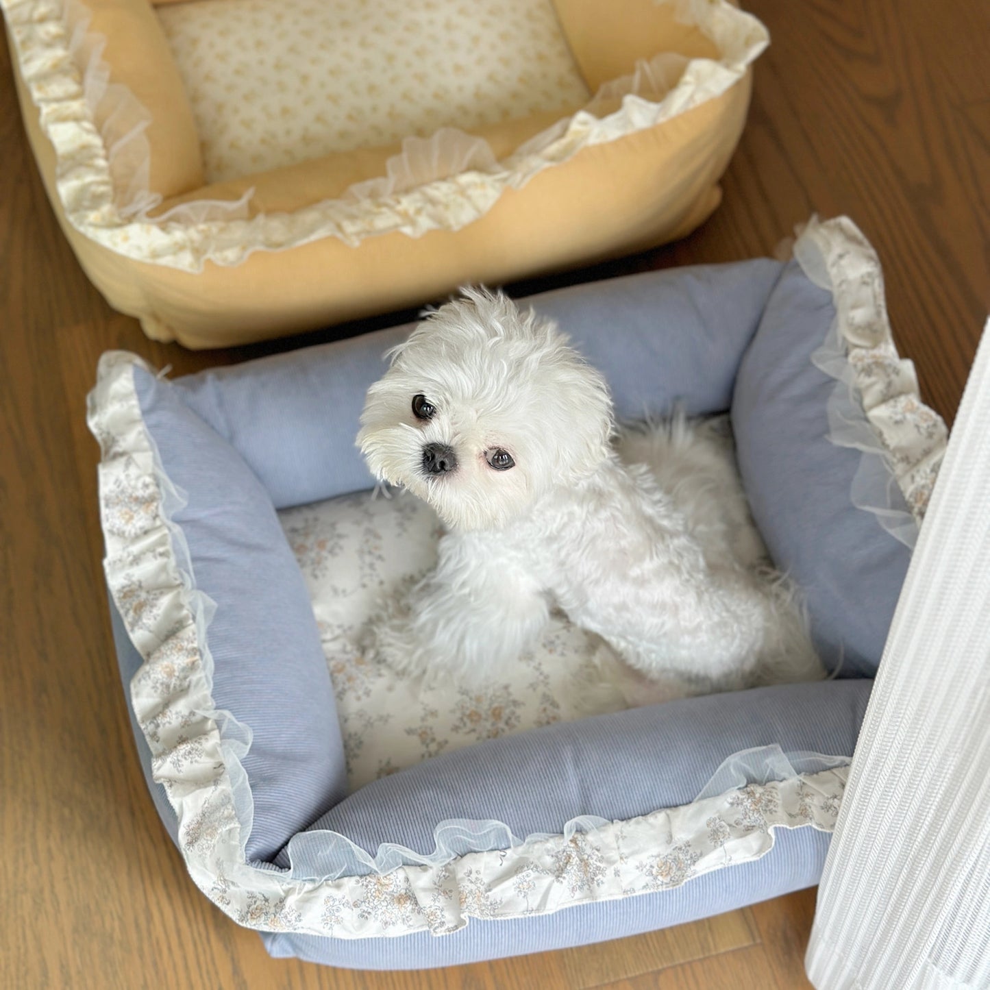 Cozy Corduroy Pet Sofa Bed