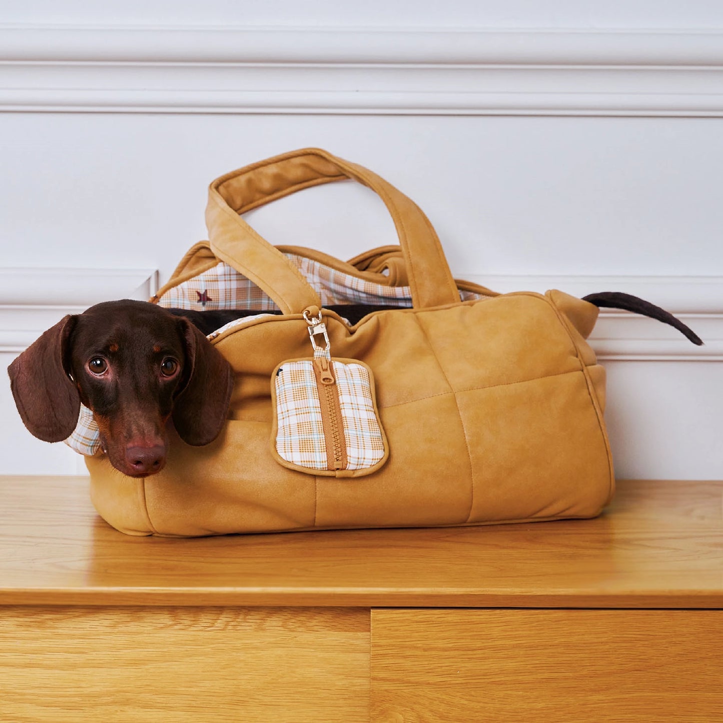 Sac de transport confortable en cuir pour animaux de compagnie