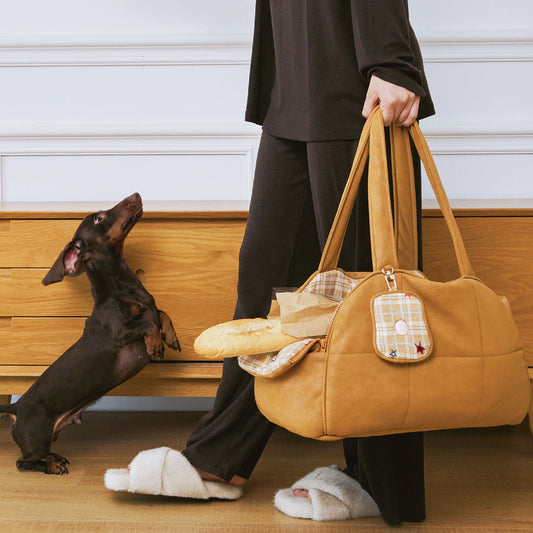 Cozy Leather Pet Carrier
