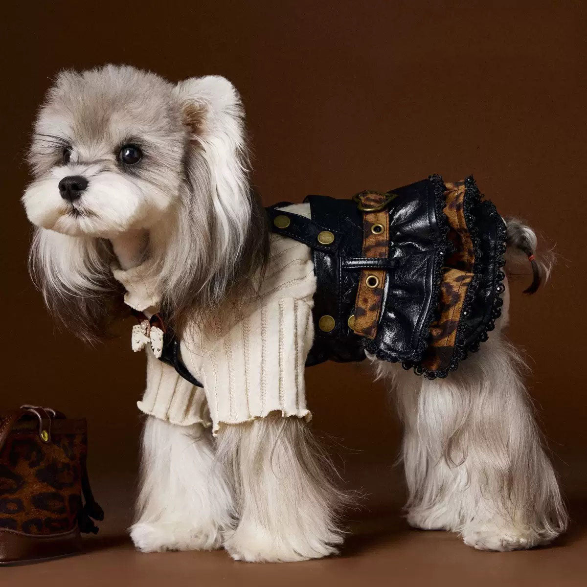 Cozy Winter Pet Base Layer