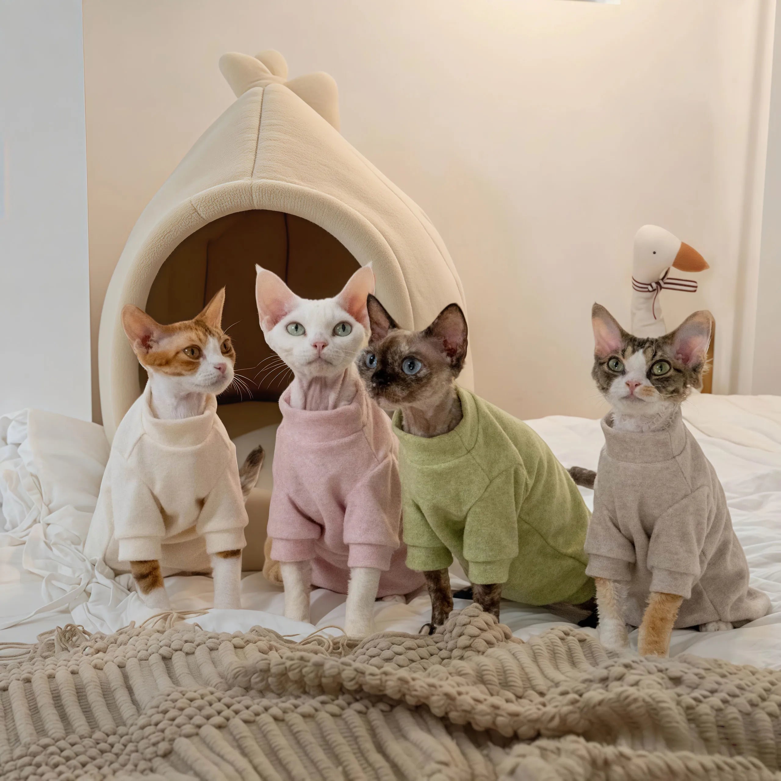 Cozy Terry Cat Sweatshirt