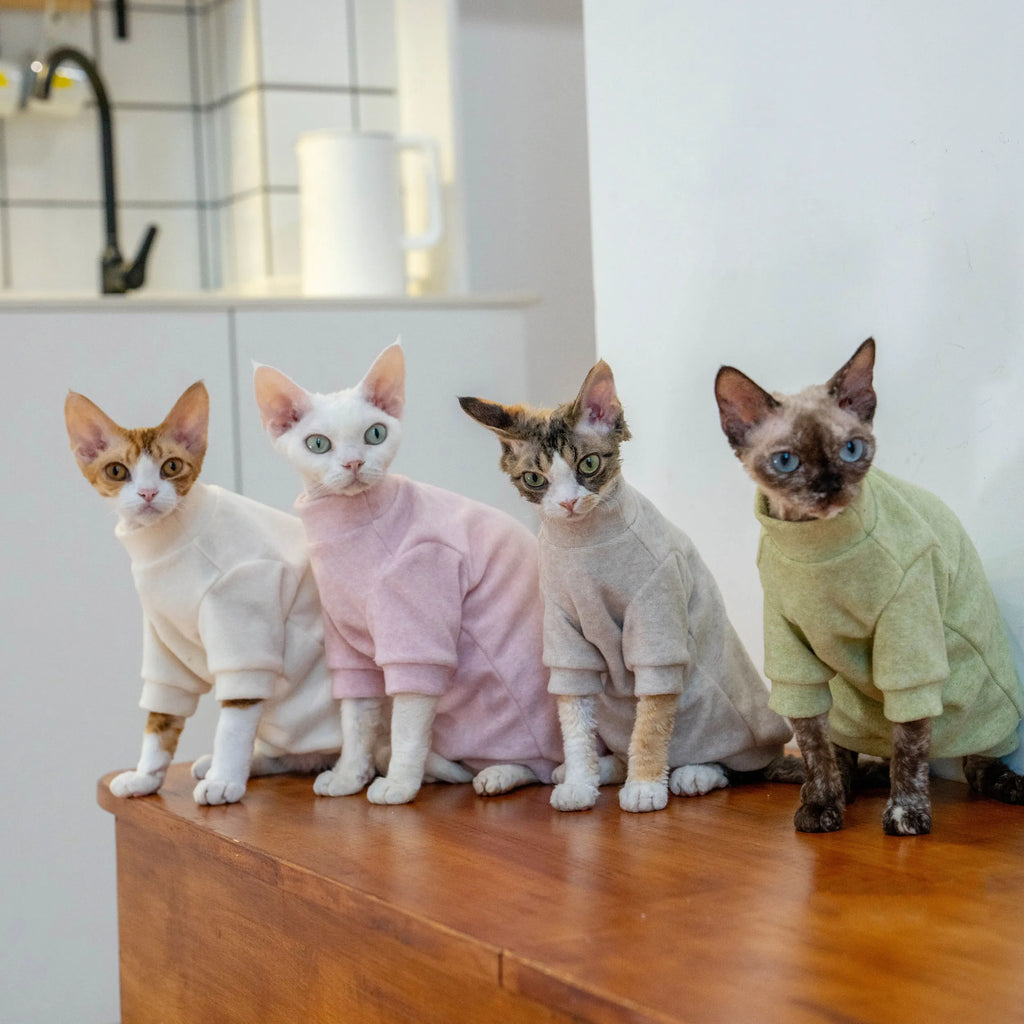 Cozy Terry Cat Sweatshirt