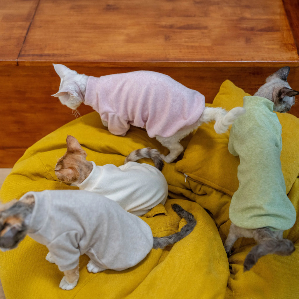 Cozy Terry Cat Sweatshirt