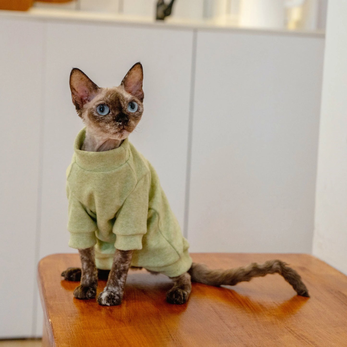 Cozy Terry Cat Sweatshirt