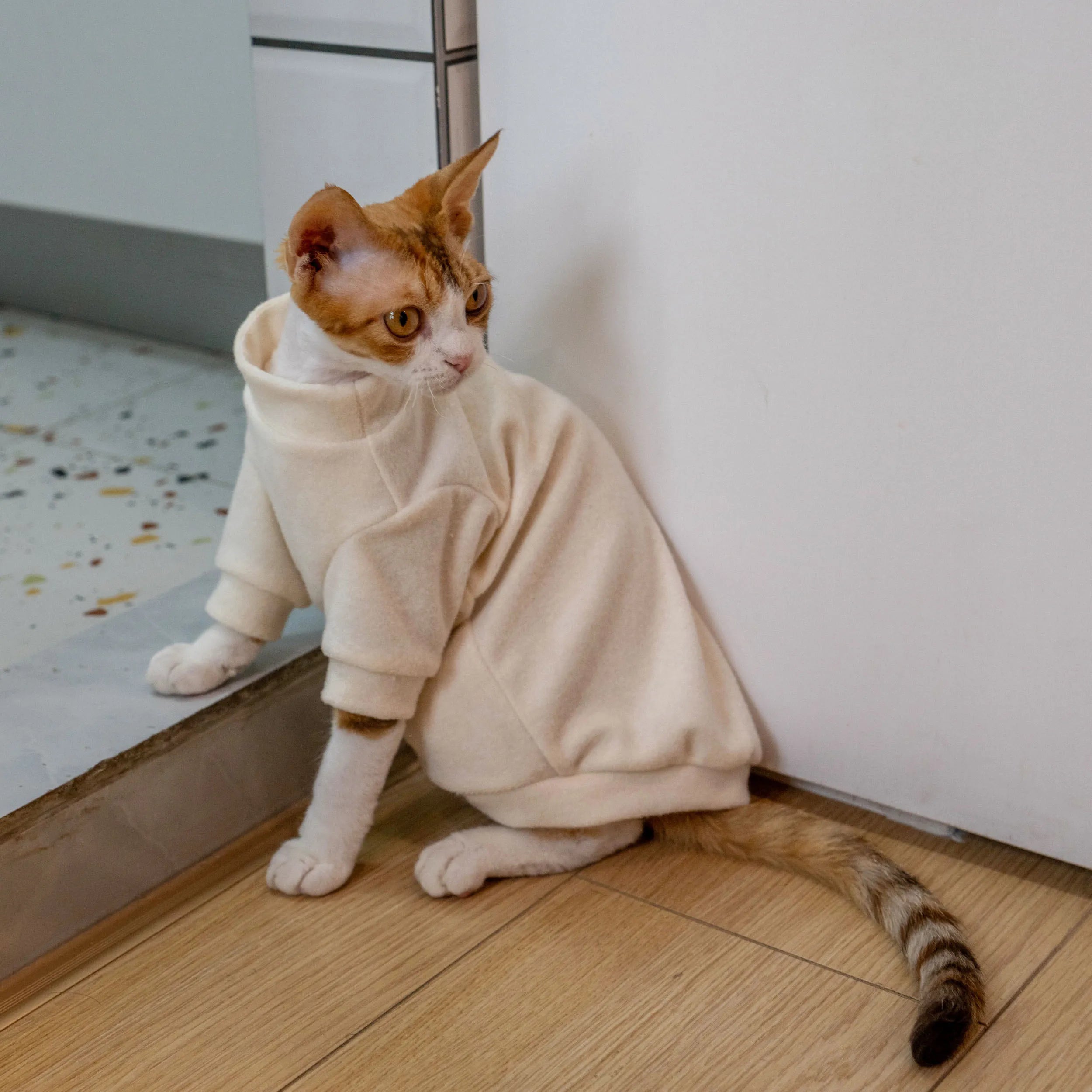 Cozy Terry Cat Sweatshirt