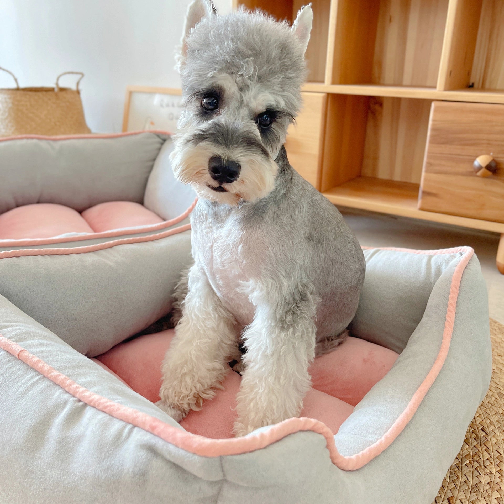 Thickened Cozy Dog Bed