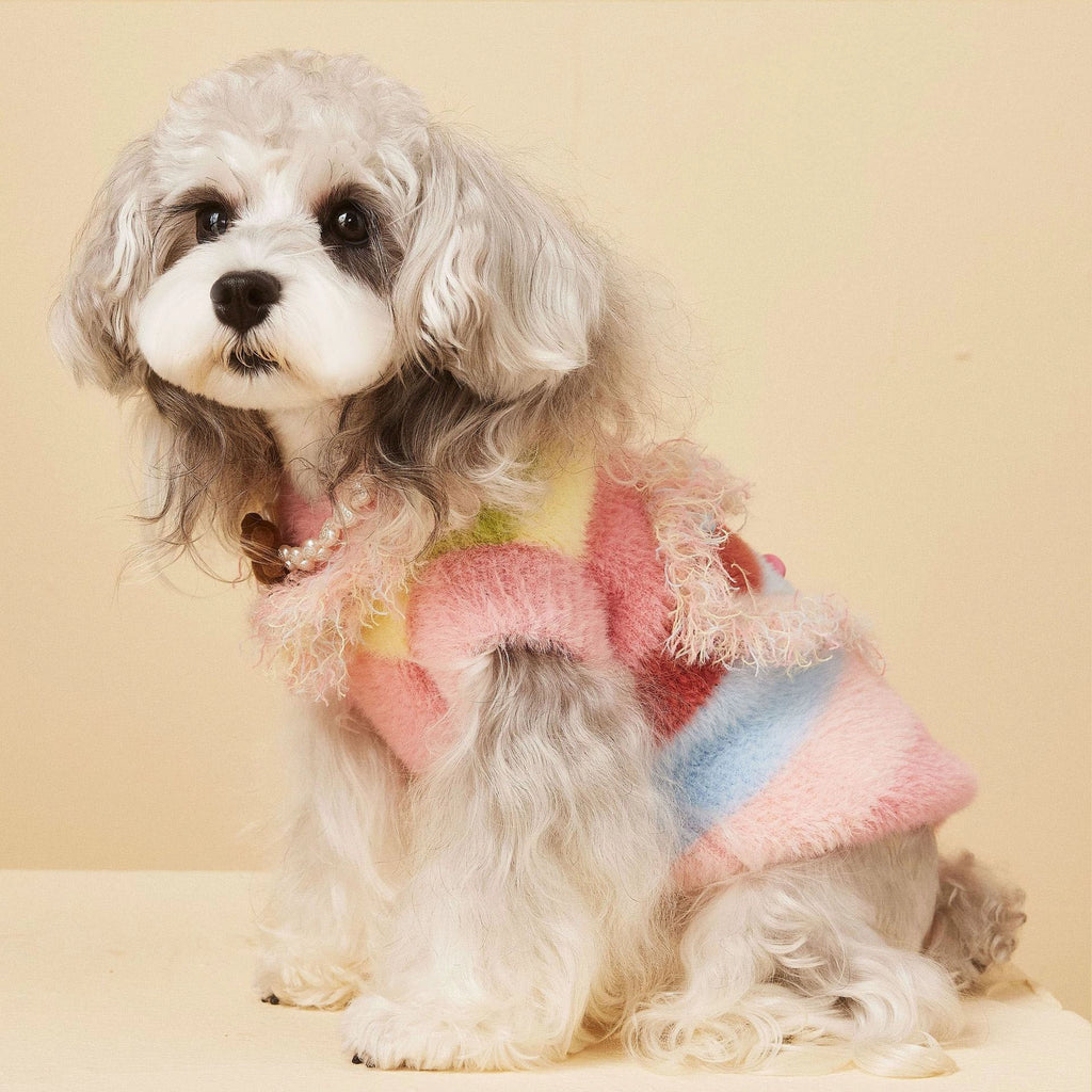 Cozy Winter Knit Dog Sweater Vest