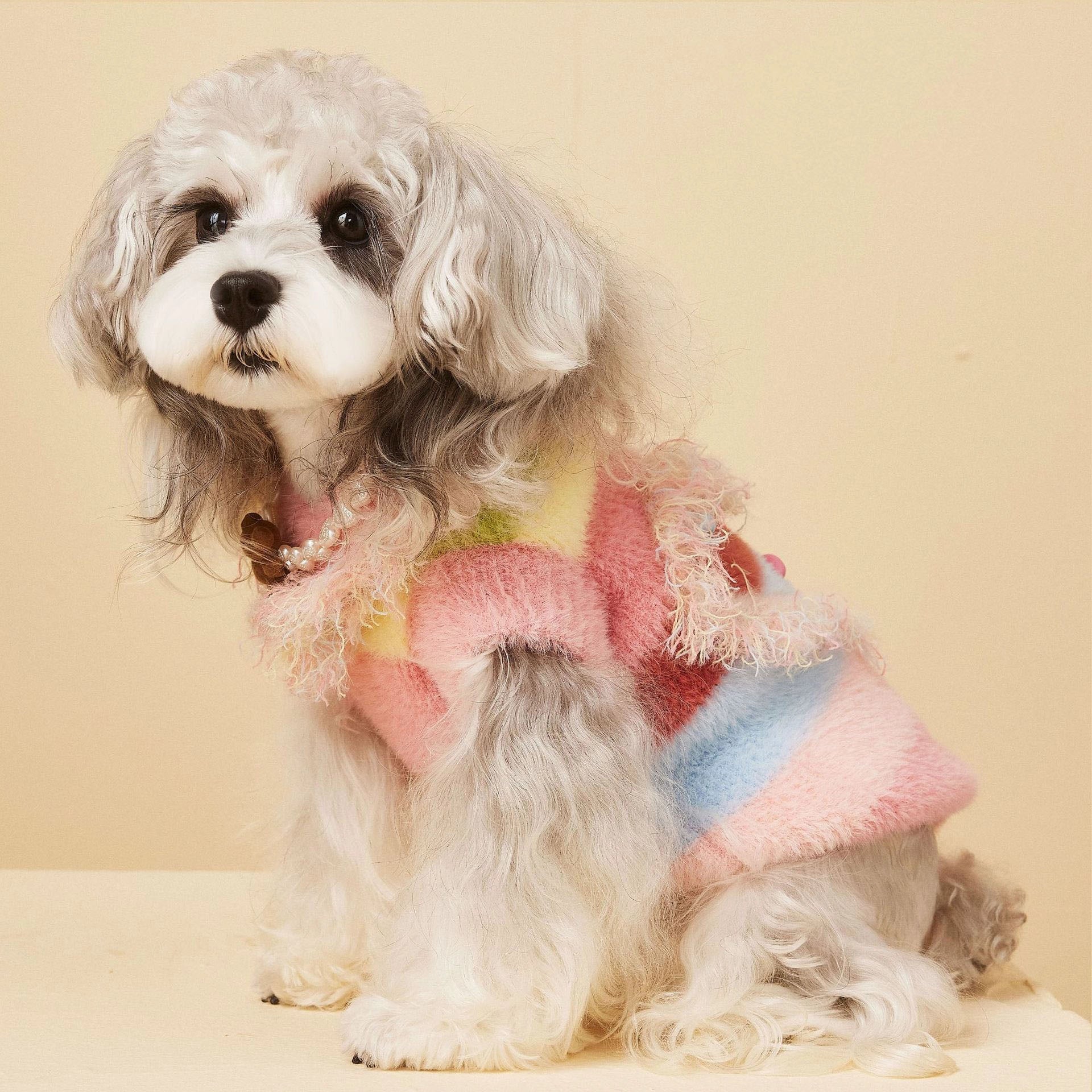 Cozy Winter Knit Dog Sweater Vest
