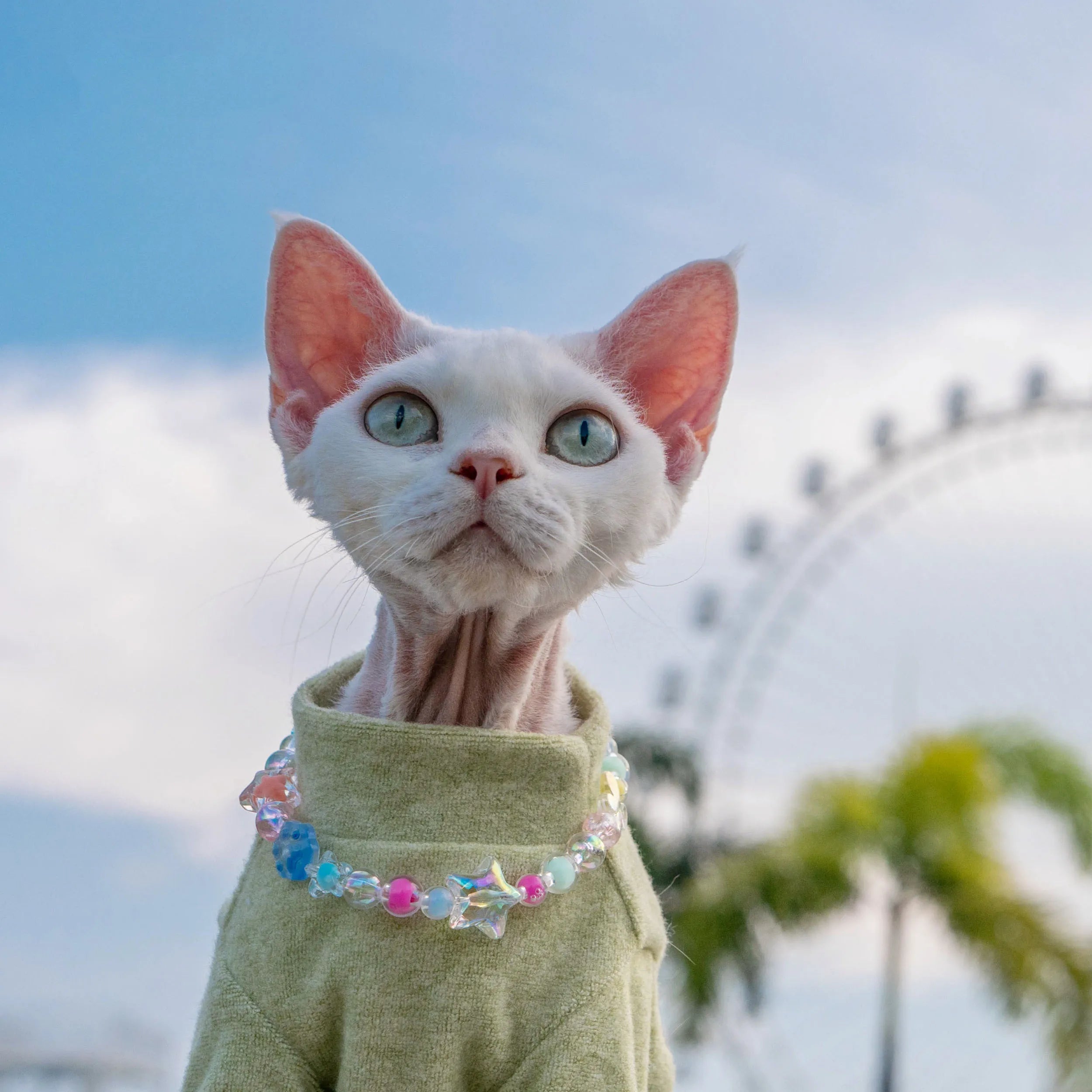 Adjustable Crystal Jelly Necklace