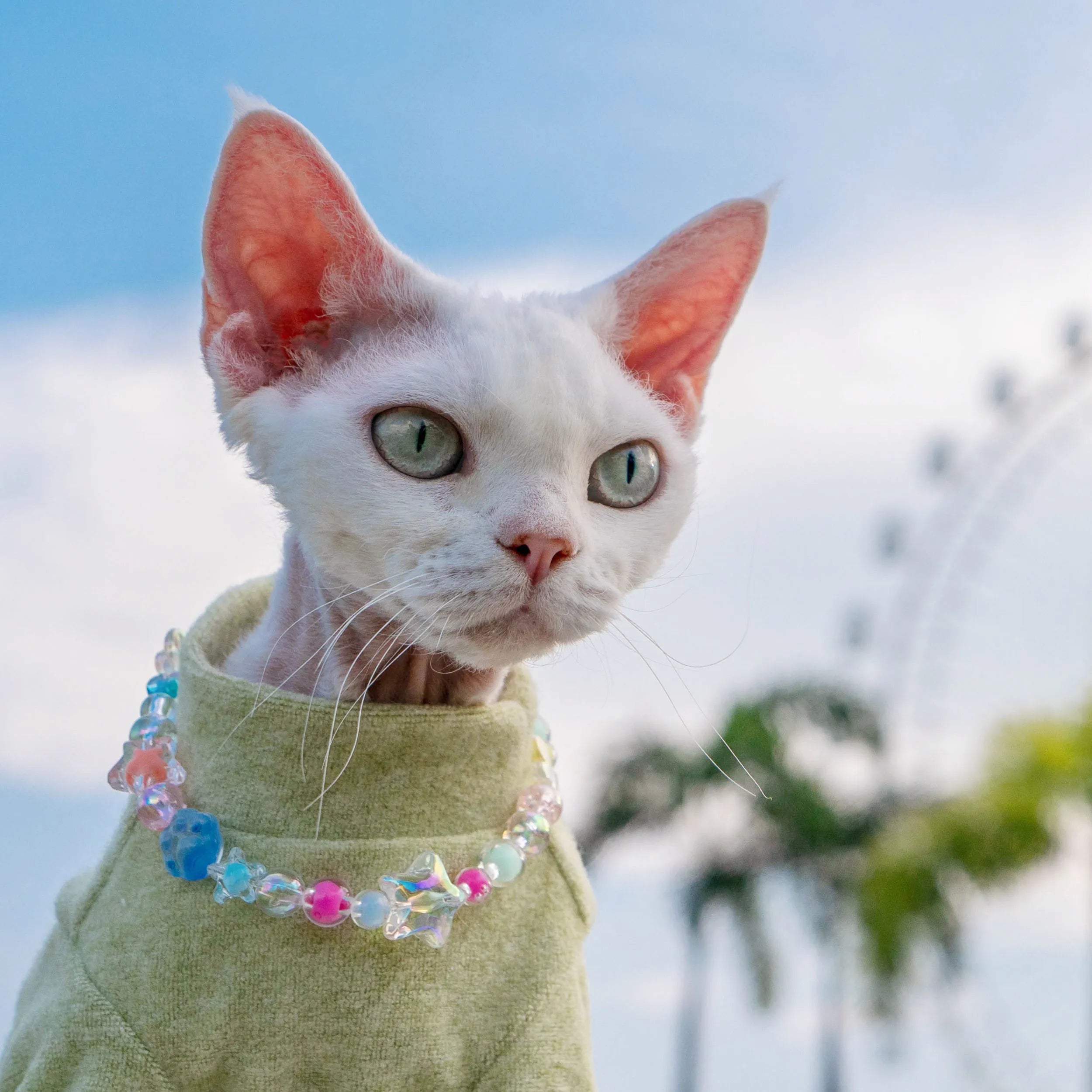 Adjustable Crystal Jelly Necklace