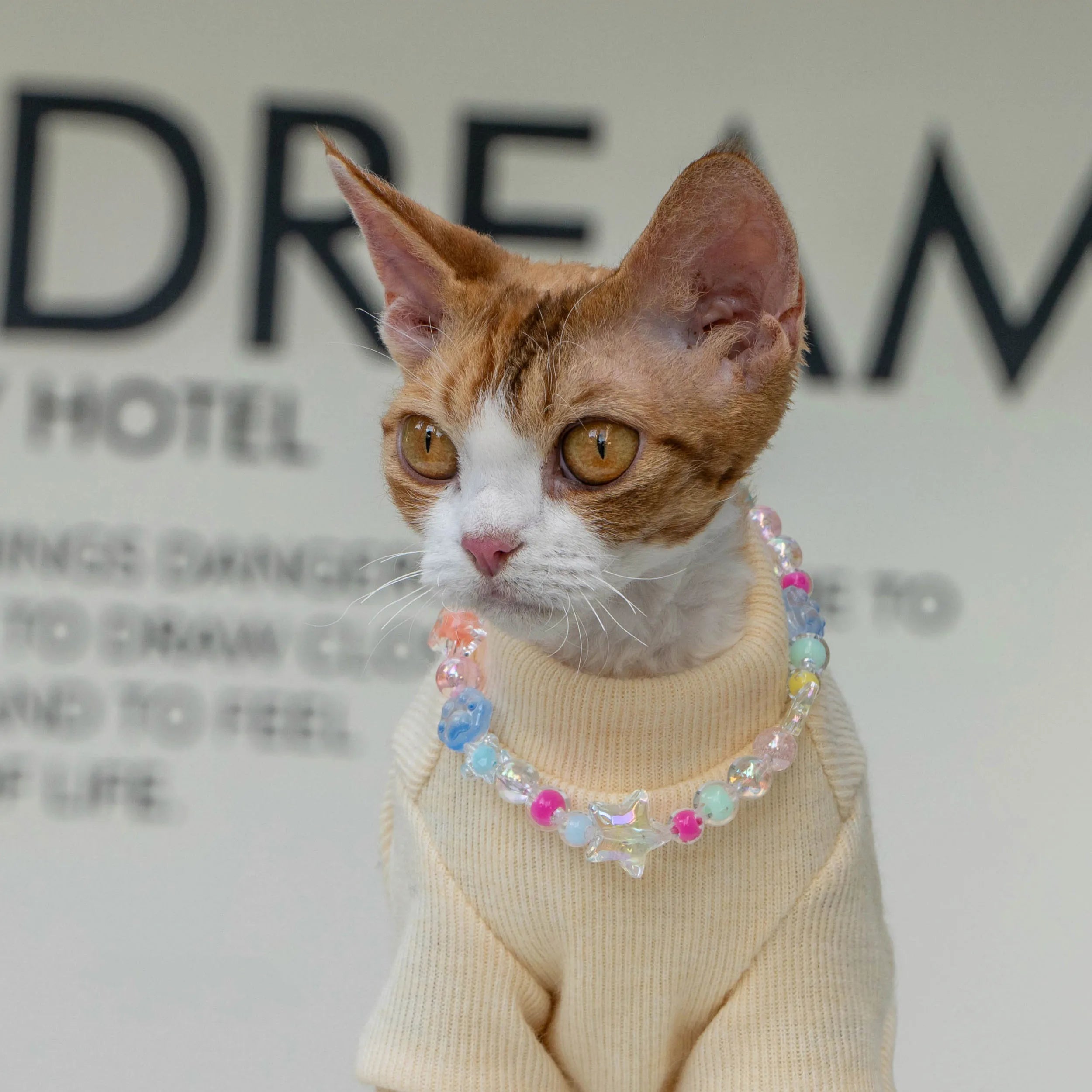 Adjustable Crystal Jelly Necklace