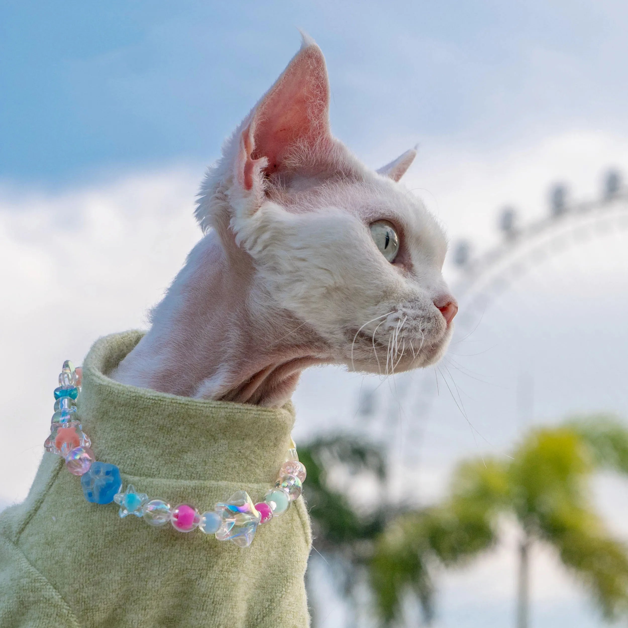 Adjustable Crystal Jelly Necklace