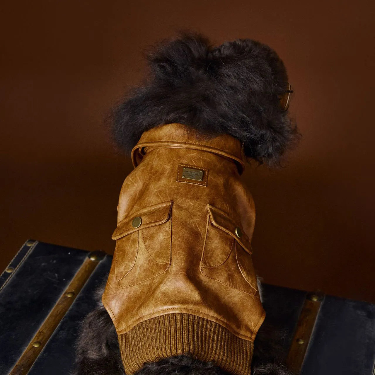 Winter Dog Leather Jacket