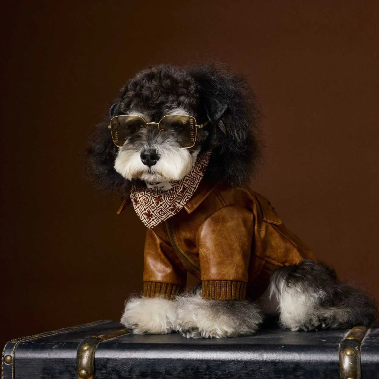 Winter Dog Leather Jacket