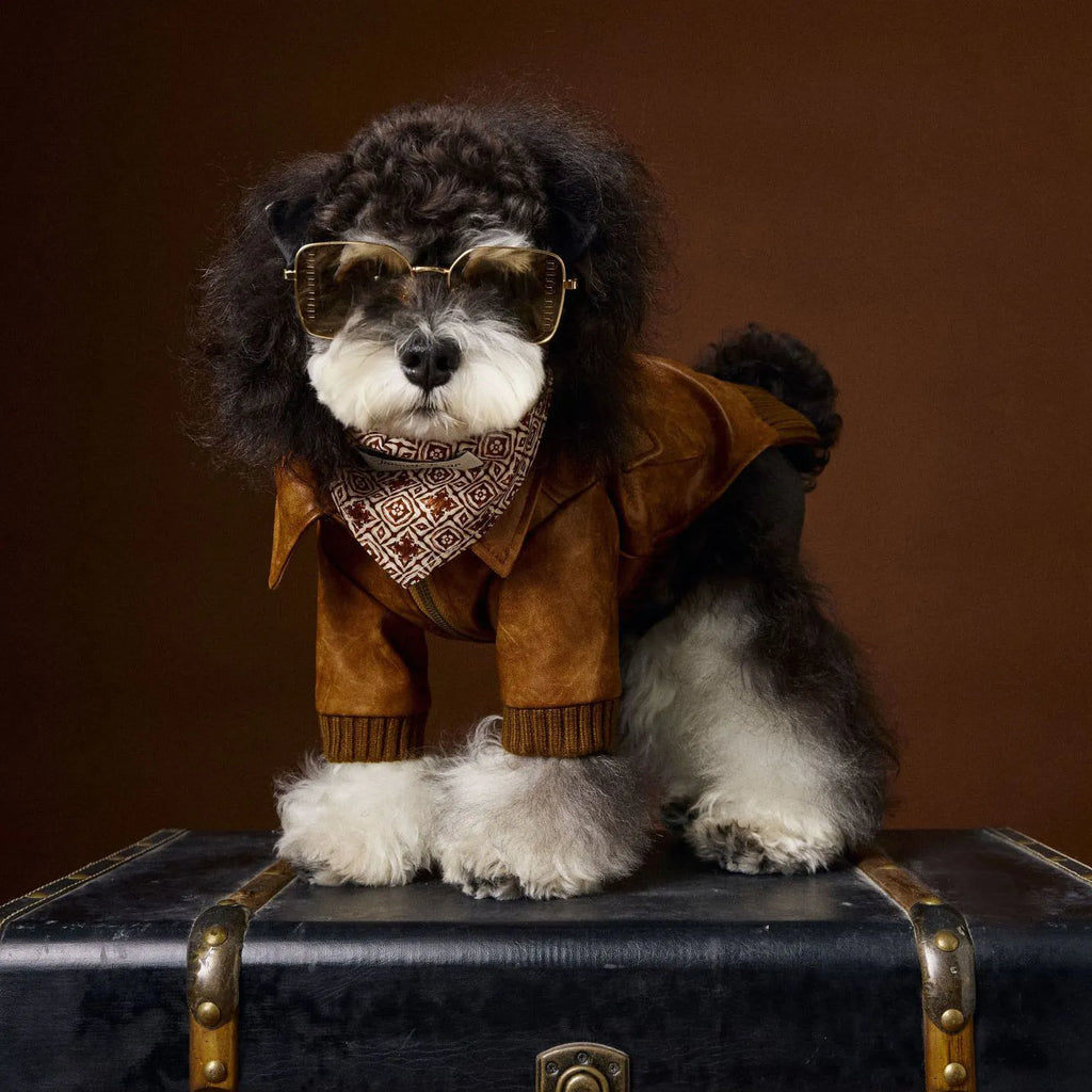 Winter Dog Leather Jacket