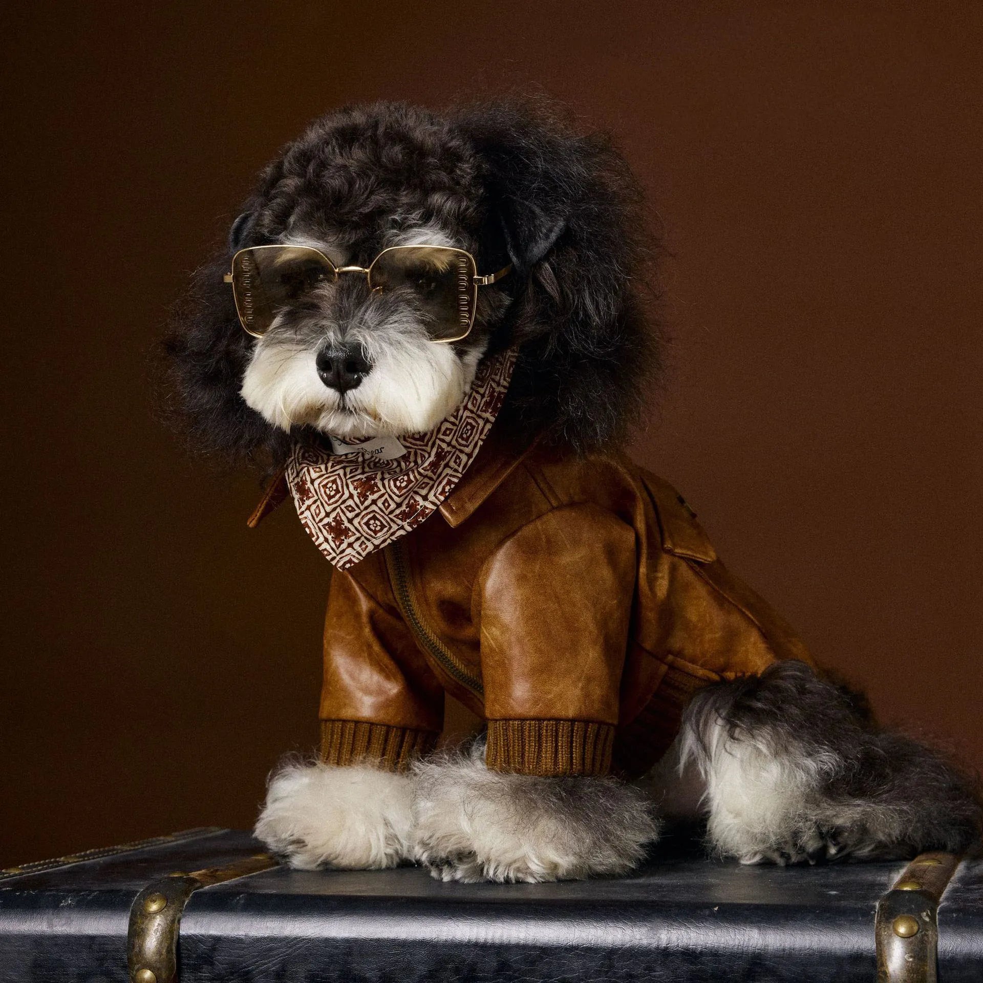 Winter Dog Leather Jacket