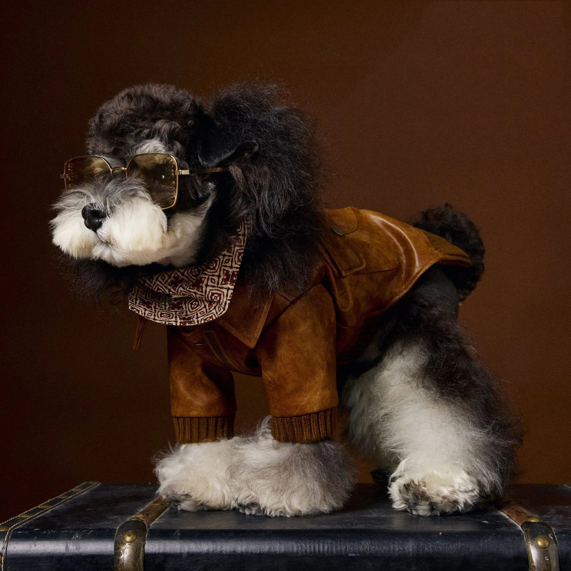 Winter Dog Leather Jacket